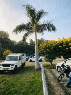 Panjab University Chandigarh Campus photo 13